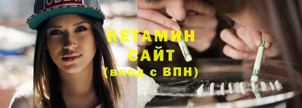 шишки Арсеньев