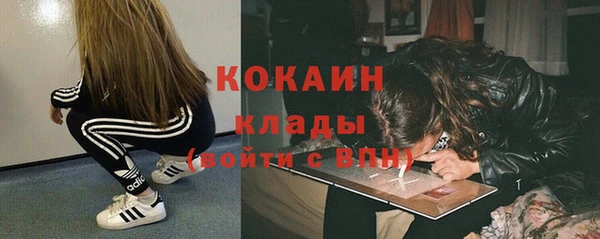 шишки Арсеньев