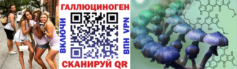 Купить где  Хвалынск  Псилоцибиновые грибы Psilocybine cubensis 