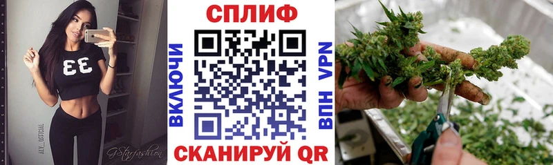 Купить закладки  Хвалынск  Каннабис тримм 